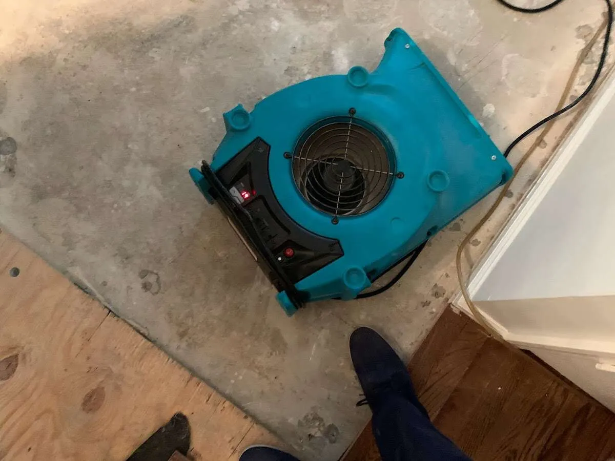 Air mover drying subfloor during Leak Detection & Repair in Rosemont
